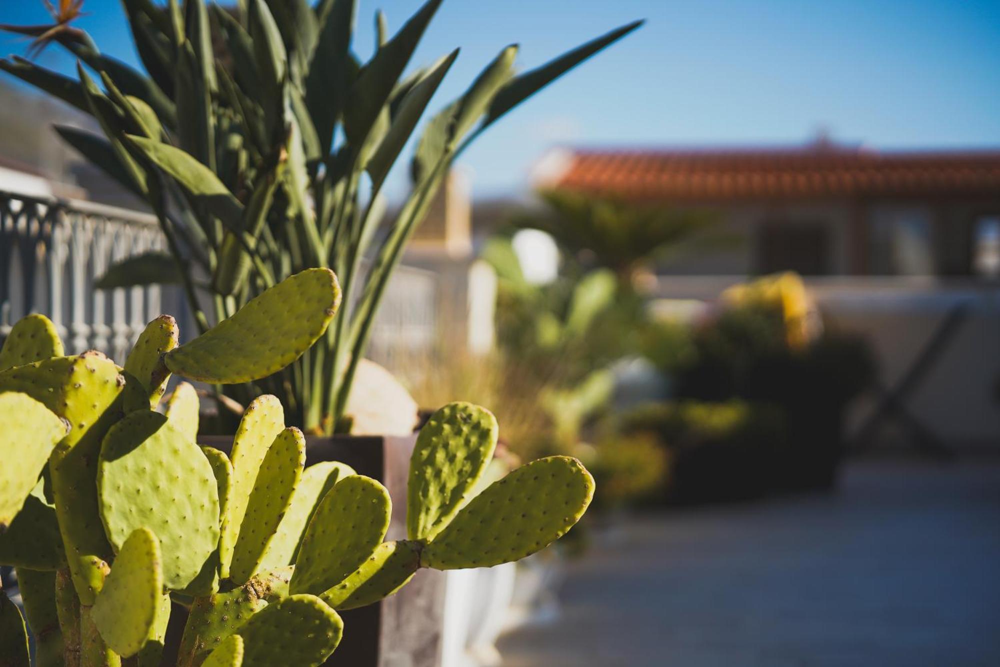 Riad Comfort Rooms San Vito Lo Capo Exterior foto